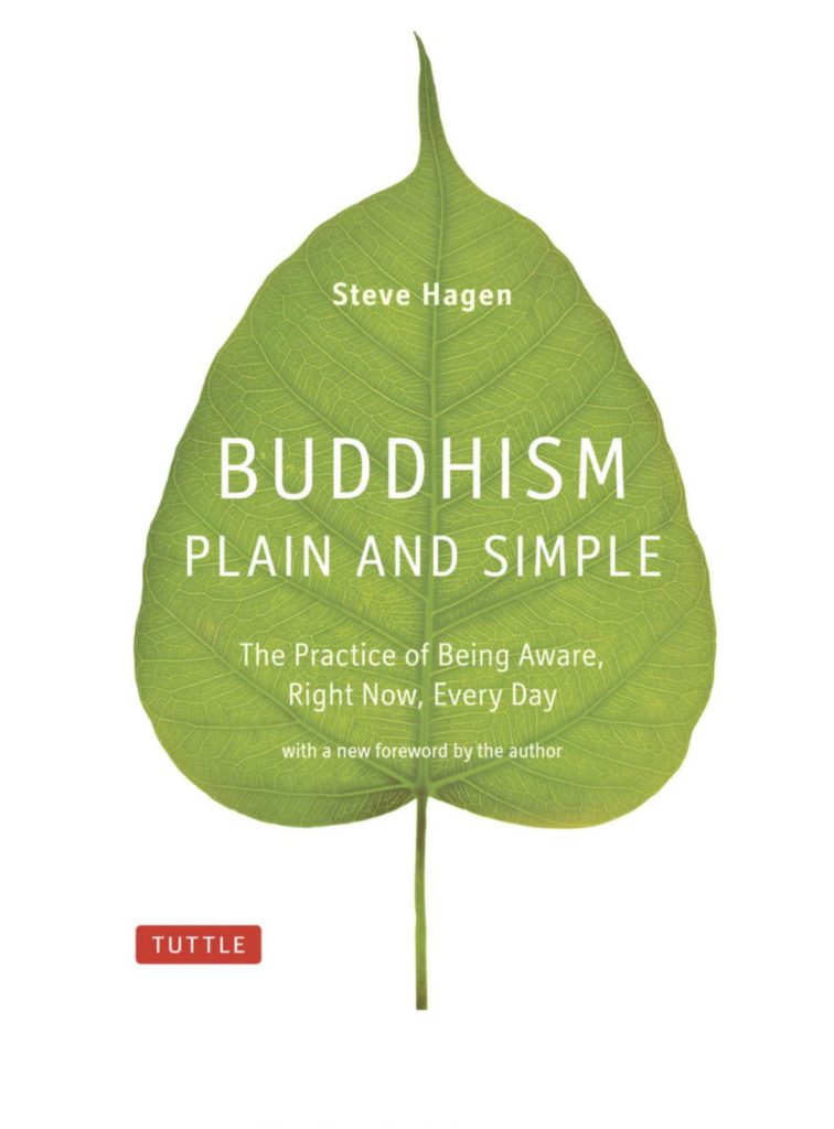Cover of Buddhism Plain and Simple.