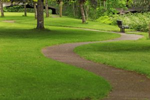 Photo of a path, to symbolize the journey over the destination.