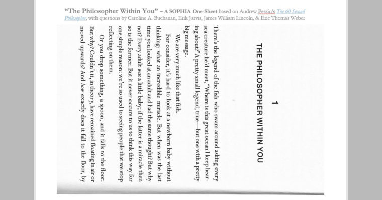 This is an image of the One-Sheet document SOPHIA has created based on Andrew Pessin's 'The Philosopher Within You.' This image links to the printable, Adobe PDF version of the One-Sheet.